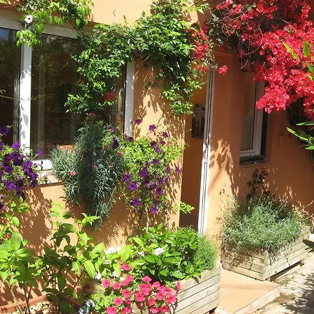 Cerezos Private Pool Villa *