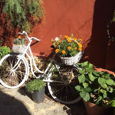 Cerezos Private Pool 别墅 Cala En Porter (Menorca)