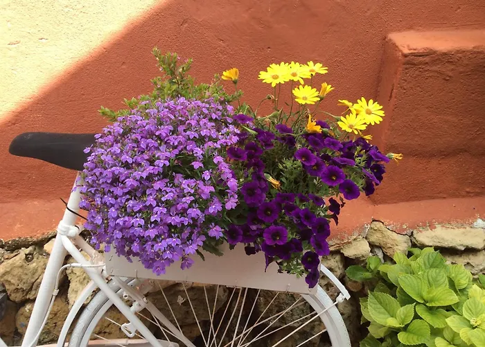 Cerezos Private Pool Willa *