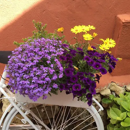 Cerezos Private Pool Villa *